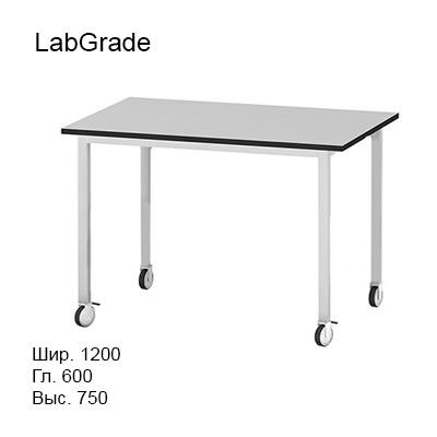 Подкатной лабораторный стол 1200x600x750 на колесах, задняя рама, NL, LabGrade